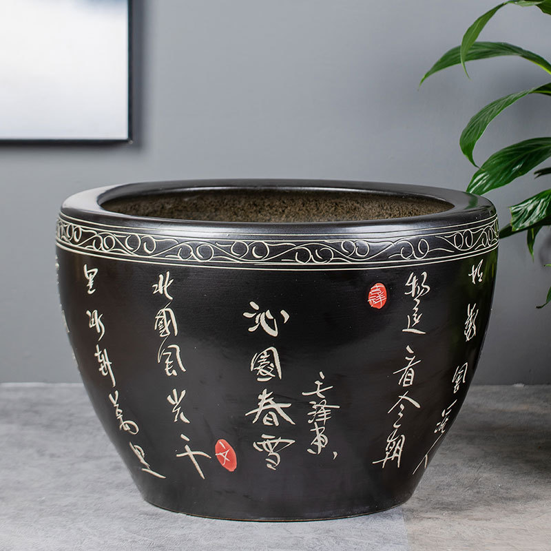 մɴ׹ŷڹɻ˯׹˾ͥԺڼˮ