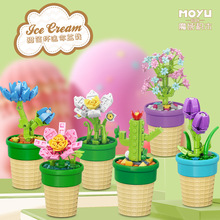 ħ��eľ��ֲ��С�w��ƴ�b���滨��Ů��DIY�Y����ߏS��ֱ�N�羳