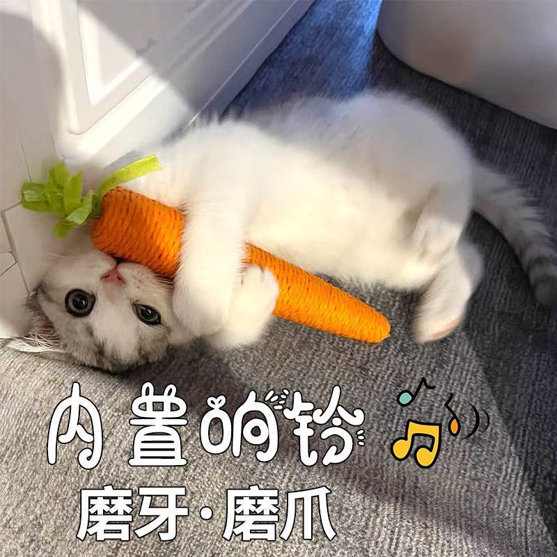 猫咪玩具发声胡萝卜逗猫棒自嗨解闷幼猫磨牙棒耐咬猫抓板宠物用品