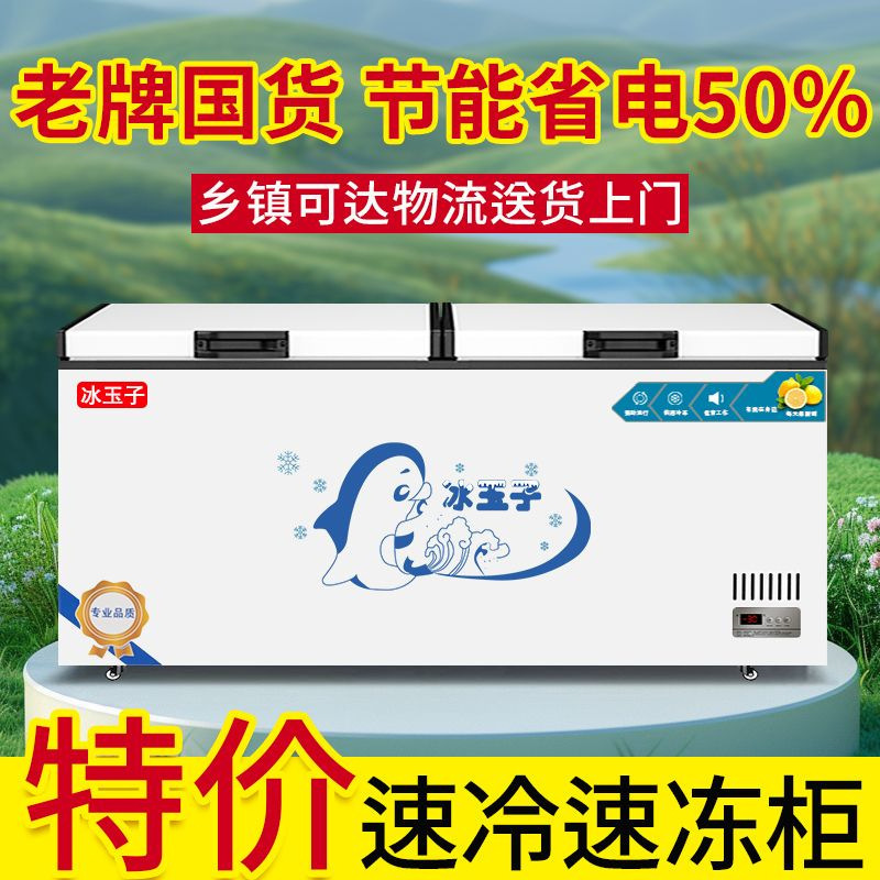 Household Commercial Horizontal Refrigerator Refrigeration and Freezing Dual-Purpose Freezer Single Temperature Dual Temperature Energy-Saving Freezer Manufacturer Direct Sales Manufacturer