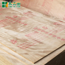 SlB1ȼ E1׼WУbyȼӌľzϰ