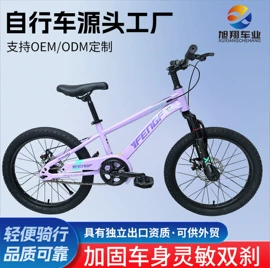 儿童自行车;山地自行车;平衡车