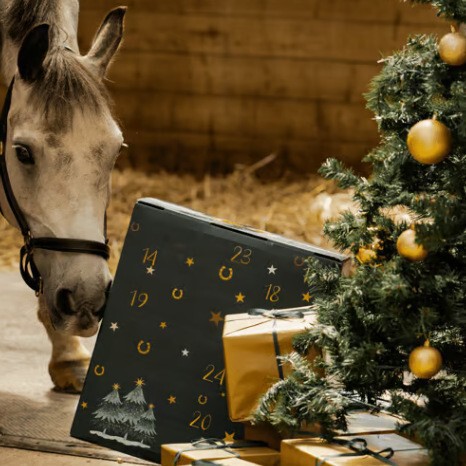 刘海和流苏降临节日历Forelock and Fringe Advent Calendar|undefined
