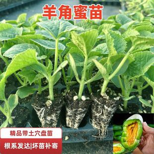 ������Ϲ���������������ܹ����Ƥ�۹�������쳬������ˮ��