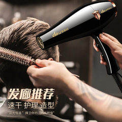 Professional Hair Salon Use High Power Blow Dryer Quick Dry Home Use Hair Damage-Free Cold and Hot Wind Direct Manufacturer Sale