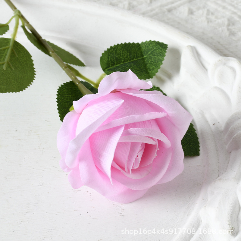 Rosa pequeña de terciopelo rosa puro