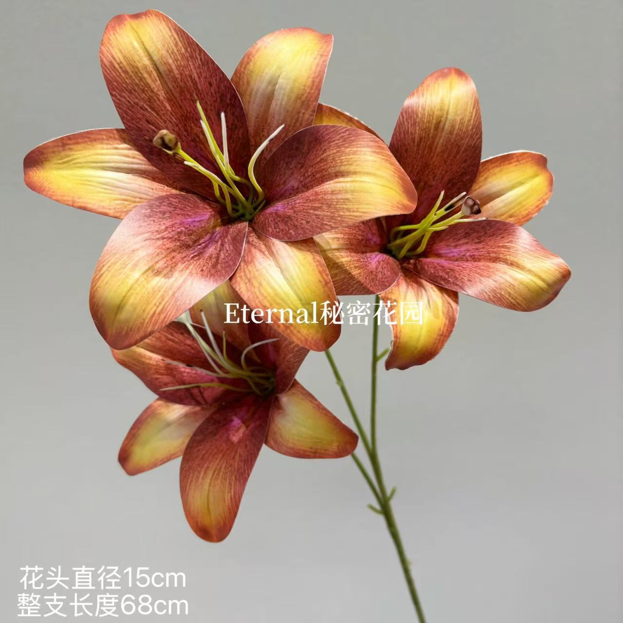 3 leafless lilies