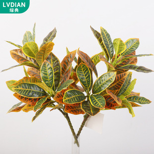 �羳���枢�����~�٘��~�ҾӾGֲ�b��Ĕz���߷��枢���Ű���