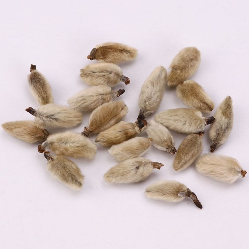 Xin Yi Hua Magnolia Flower Buds 500g Dried Traditional Chinese Herbal Tea key features