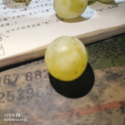 【包邮】 佛音香葡萄无农药残留无任何激素熟透了送亲佳品|ru