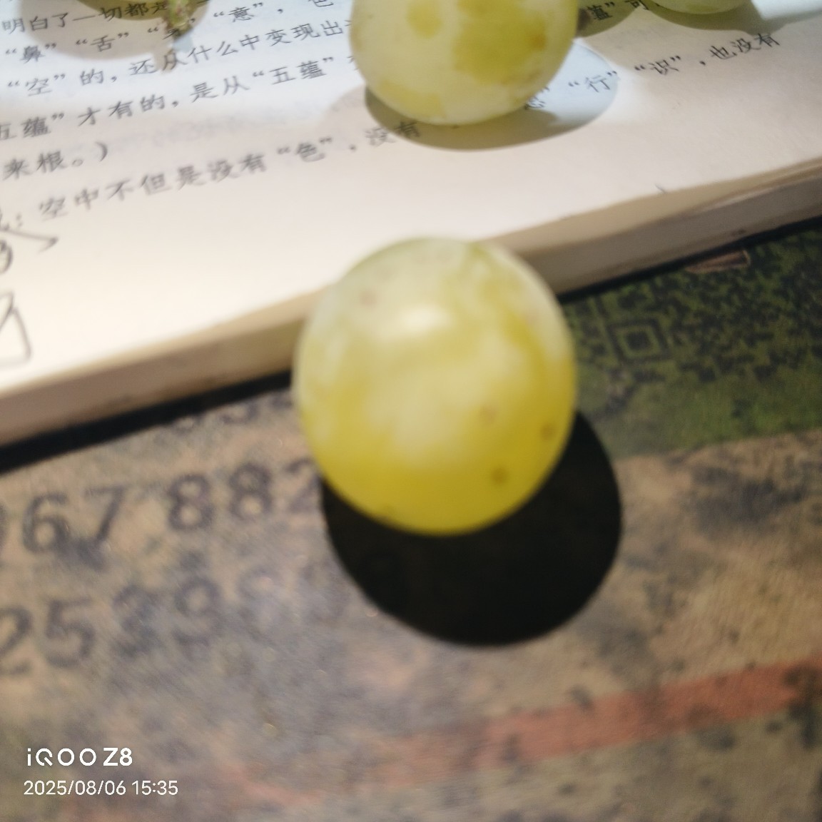 【包邮】 佛音香葡萄无农药残留无任何激素熟透了送亲佳品