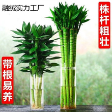 ����ˮ�B���F���^���D�\ˮ���҃ȃ����՚��ȩ��ݗ�����Ի��ܾGֲ