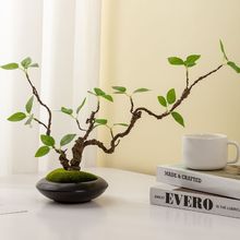 仿真绿植假植物客厅室内插花茶桌餐桌玄关摆件摆放软装花卉装饰品