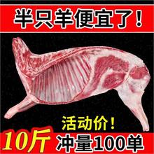 溥畔新鲜现杀半只羊10斤生羊肉羊排羊蝎子羊腿5斤羊肉 【原切块大