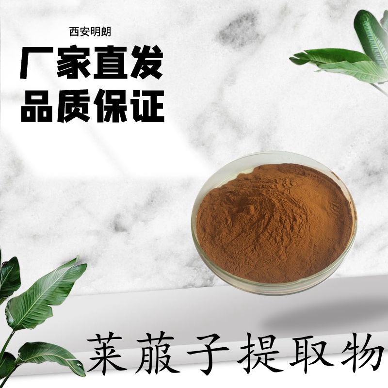 莱菔子提取物 10：1 莱菔子粉 99% 厂家现货 三证齐全