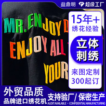 毛巾绣立体绣刺绣布贴定制 电脑绣花徽章布贴加工 特种绣花代工