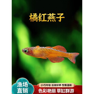 ��ɫ���Ӵ��ټt�����~�ݸ�Ⱥ���޺簢�����ӻ��w�Ꭷ�^�p�~