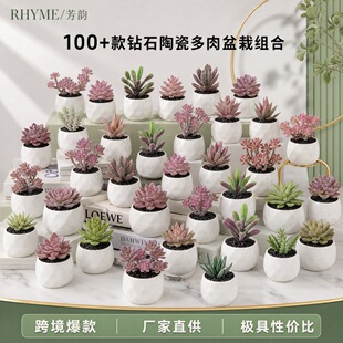 100+��R�d���N�մ������������ԽM�τ���С�����L�ٶ����辰
