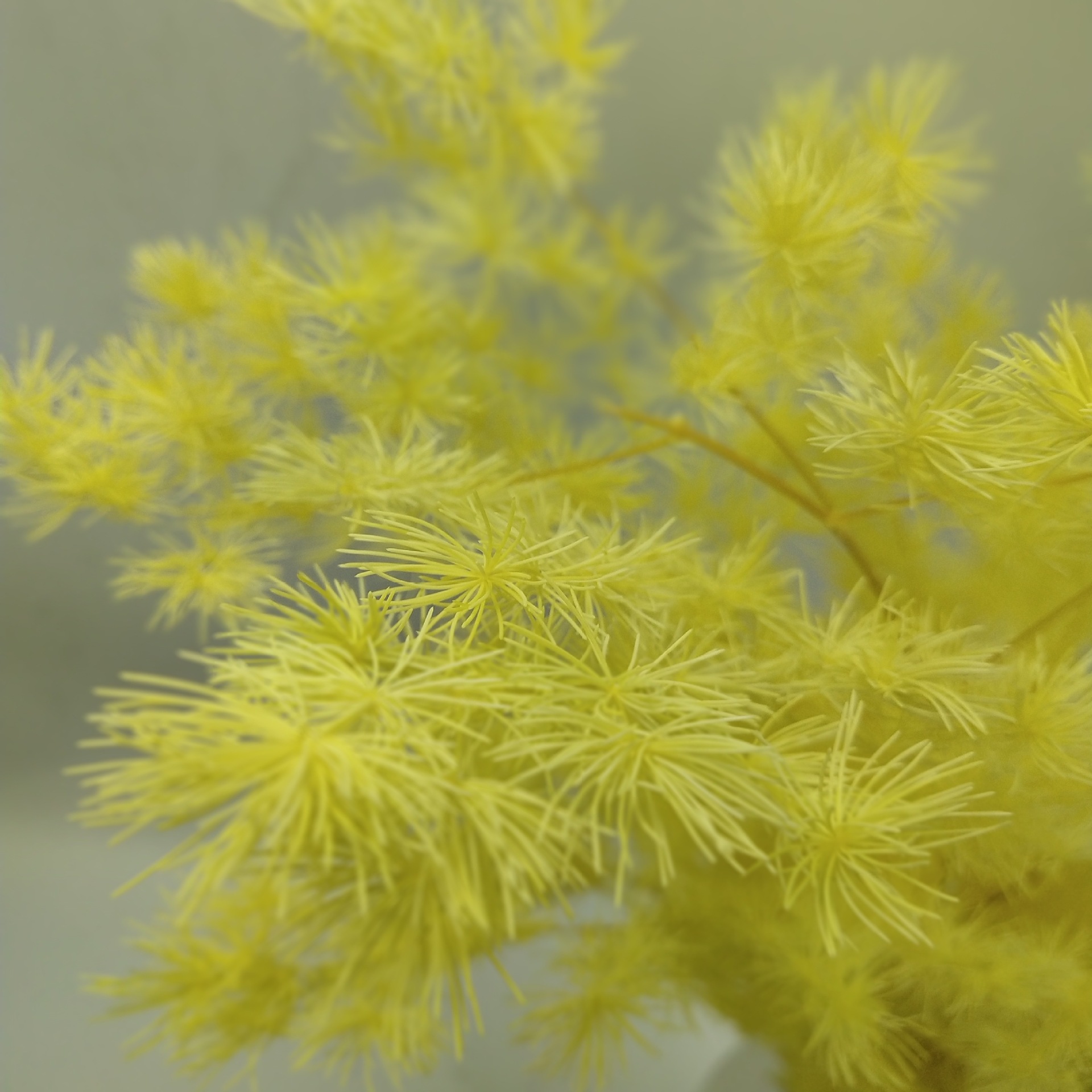 c663db2182531e92d580b26079de24