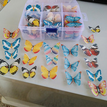 羳Ŵ׼yпƵbŴ׼ӡС