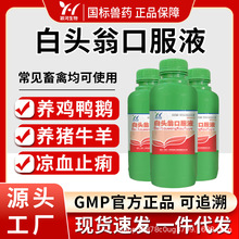 兽用白头翁口服液水肿痢疾消家畜宠物清热解毒凉血止痢500ml