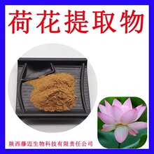�ɻ���ȡ��10:1�gӭ�xُ�ɻ���s�۟o���g�̺ɻ���