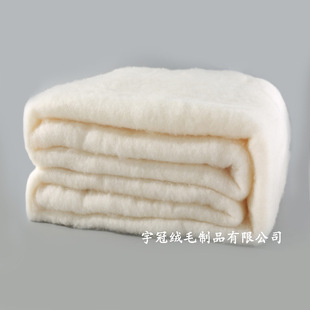 Spot Pure Wool Quilt Winter Quilt Core Cotton Wadding Sheet Mattress Quilt Filler Anti-Drilling Sheep Velvet Quilt Core