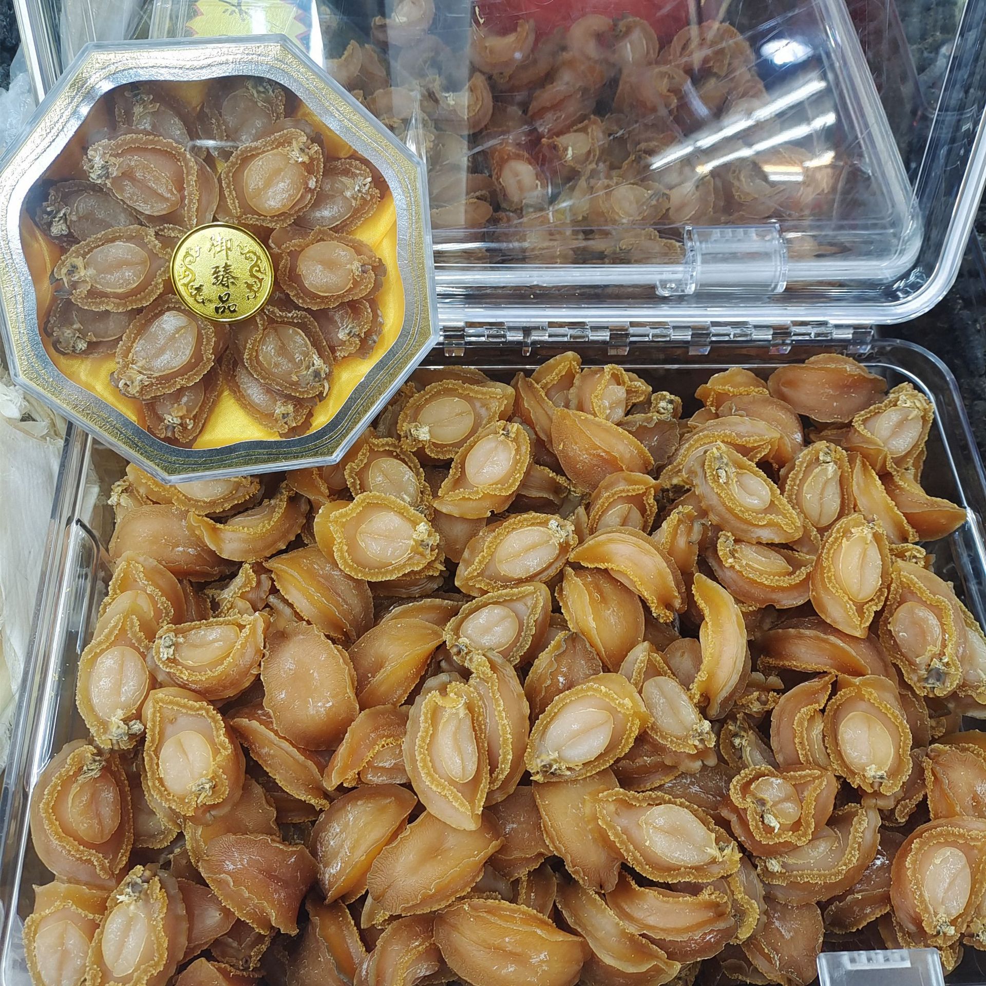 10-25头鲍鱼工厂直销批发非即食大鲍鱼吉品鲍国产大连黄金鲍