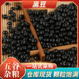 ���l�|���ZʳС�ڶ��r���Ԯa����s�Zɢ�b�ּZ�S�ĺڶ��ߵ��׶��{