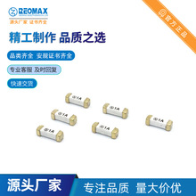 1032T.2400 NƬUz 40A300V AC REOMAX~ 5GͨӍԴ FUSE