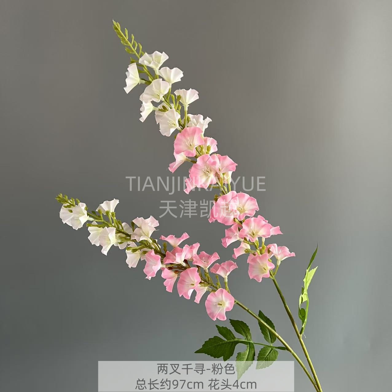 분홍색