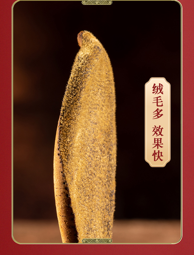 Huazhou Ju Hong Dried Tangerine Peel Slices 80g Canister Traditional Herbal Tea Ingredient quality and texture