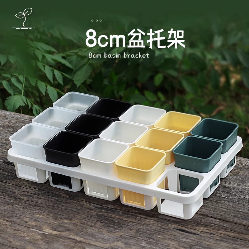 8cm Caliber Fat Square Pot Sowing Thickened Plastic Fleshy Flower Pot 15 Cradle Bracket Water Tray Rack Meat Cone Flowers