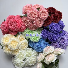 ����7�^������֦õ���c�͏d�Ƶ��b����廨��Ʒ�[�����l