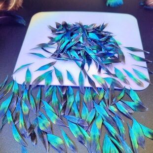 �c��diy���ϰl�����h�P����ᘶ�����̥�׷��z�c����ë�c������