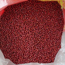 ��؛2024С�t��100g���ؼ��ð���ּZ����s�Zԭ�Z���l����