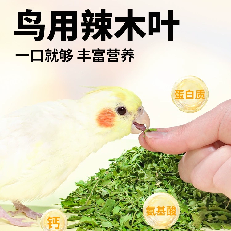 Закуска для попугаев из листьев Моринги для канареек, неразлучников, корелл. Корм ​​для птиц для тренировок, 90 г. Можно смешивать с более чем 4.5kg кормами.