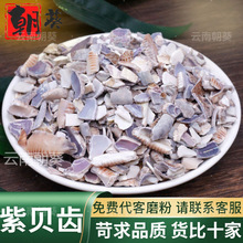 ��ؐ�X��ș�ľ��xƷ�|��ؐ��ؐ��ؐ�ӿɴ���ĥ��ɢ�b��؛����ĵϠ