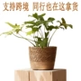 植物防水编织盆栽花器