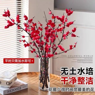 Red Plum Fresh-Cut Hydroponic Plant with Buds, Dry Branches, Snow Willow Plum Flower, Pearl Plum Indoor Living Room Green Plant Potted Plant