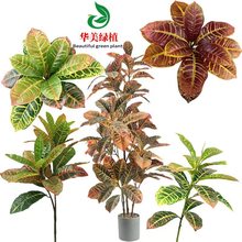 ����G�~ֲ�� ׃ɫľ������ �S���~�Ƶ������^�p�Gֲ�b�����