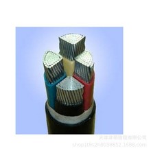 VLV22-3*95+1*50mm&sup2;䓎��z�b�Xо�����| VLV22������|