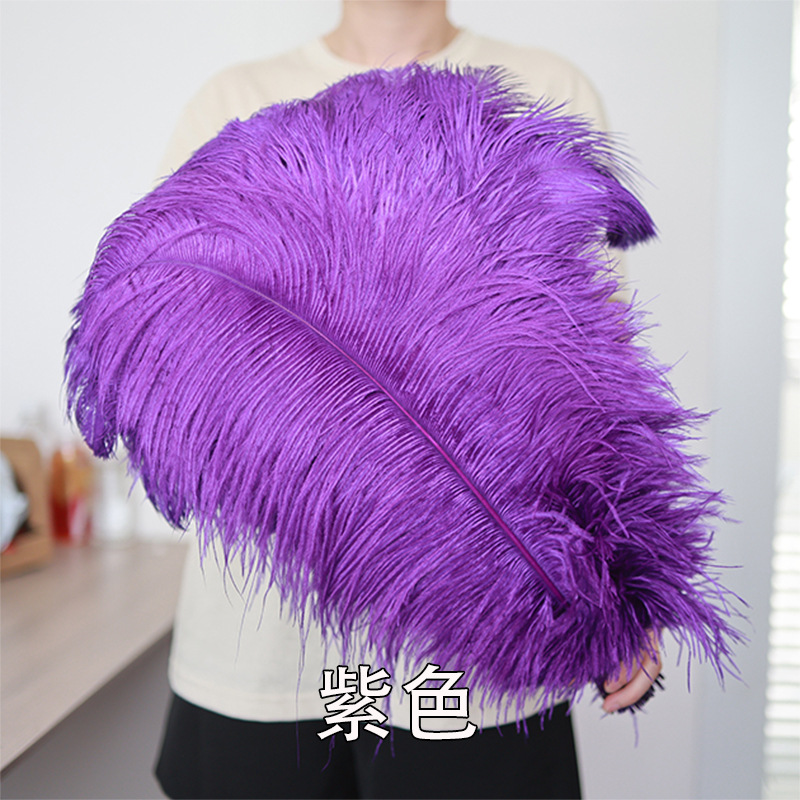 55 - 60cm plumas de avestruz de Sudáfrica al por mayor accesorios de ropa DIY accesorios materiales accesorios de diseño de boda lana de avestruz