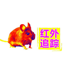 ��������t��ҹҕ�x���B�^�B���џ����x�֙C����x������Ʒ