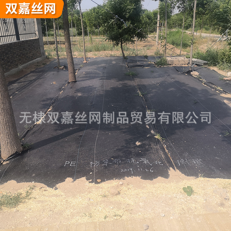 厂家供应PE防草地布 园艺黑色防草地布 蔬菜丝带编织防草地布防水