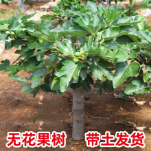 �o��������玧���򰫻����Ե����ϱ����Nֲ����Y���ش�o������