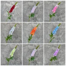 ���滨��β�m��֦���Ļ�ˇ��Y�廨ܛ�b���g��O�zӰ���߼ٻ�����