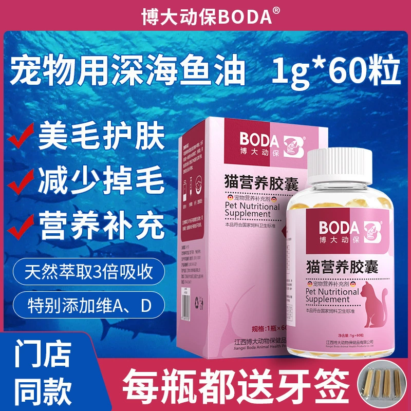 Домашнее животное Рыбий жир Кошка Мягкая капсула Собака Витамин Лецитин Пищевая добавка Осветление волос Профилактика Кошачий рыбий жир