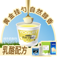 ミルクスキンヨーグルトパウダー 500g オリジナルチーズパウダー ケータリング専用ミルクバージョン チーズミルクスキンヨーグルトパウダー