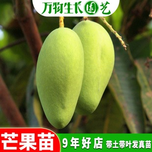 â������� �޽��ش��Ϸ��ļ�â ����â�����F��â����䮔��Y��